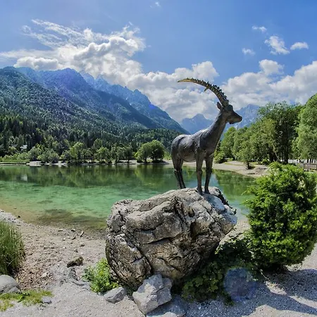 A Million Dollar View Apartment Kranjska Gora Exterior photo